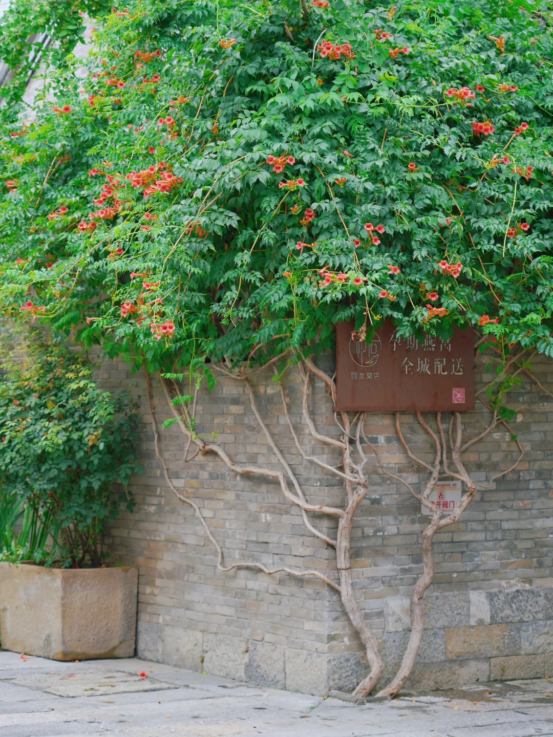 徐州刚回来，3天2晚不踩雷，全是大实话！