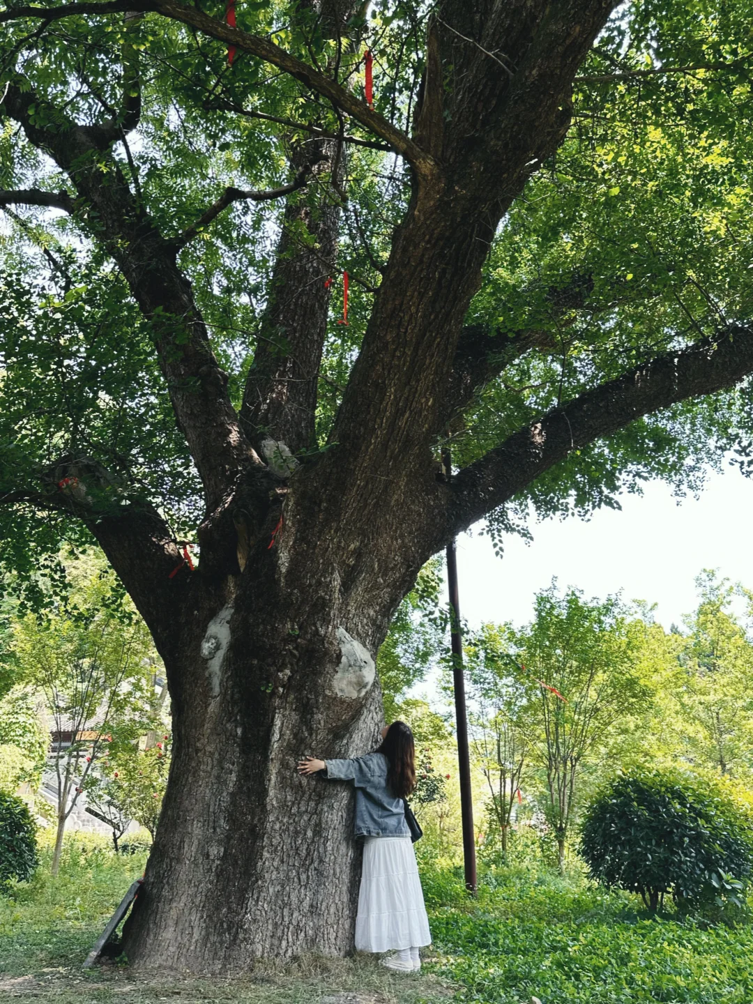 五一反向游｜河南省内小众旅行地🍃狠狠吸氧
