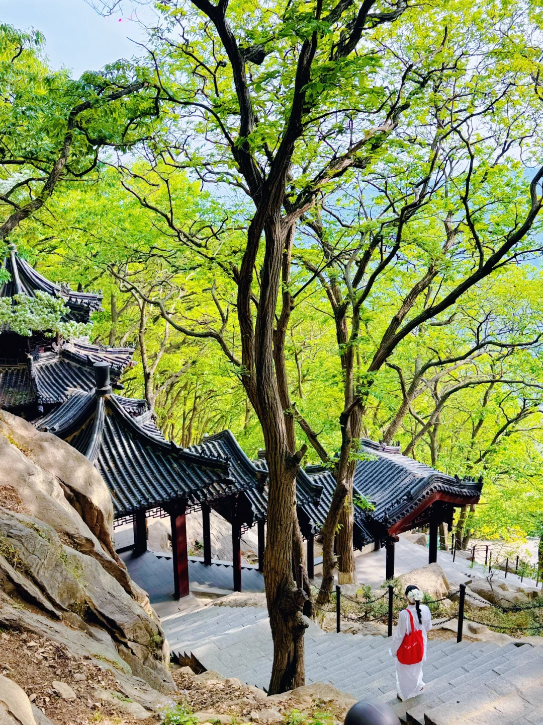 迄今为止,我蕞喜欢的宝藏旅行地出现了…live