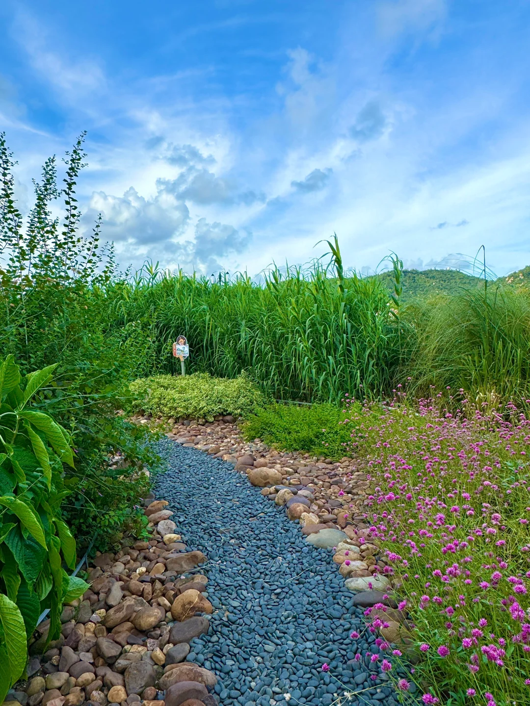 五一假期来珠海！！听劝！！！