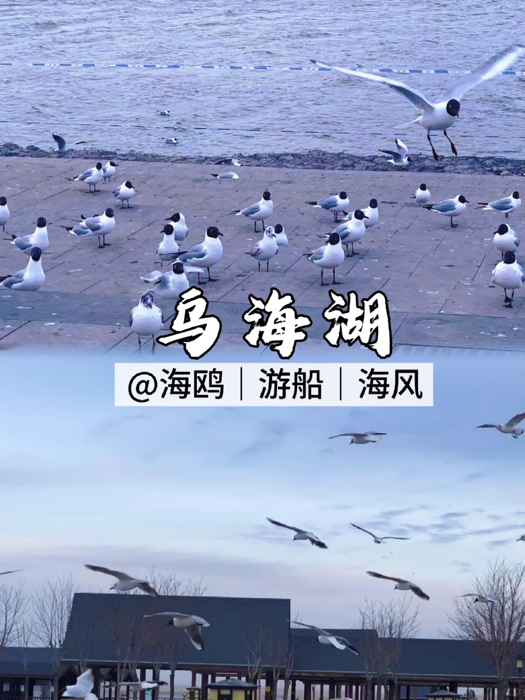 📍乌海｜04男大五一反向穷游宝藏小城🔥