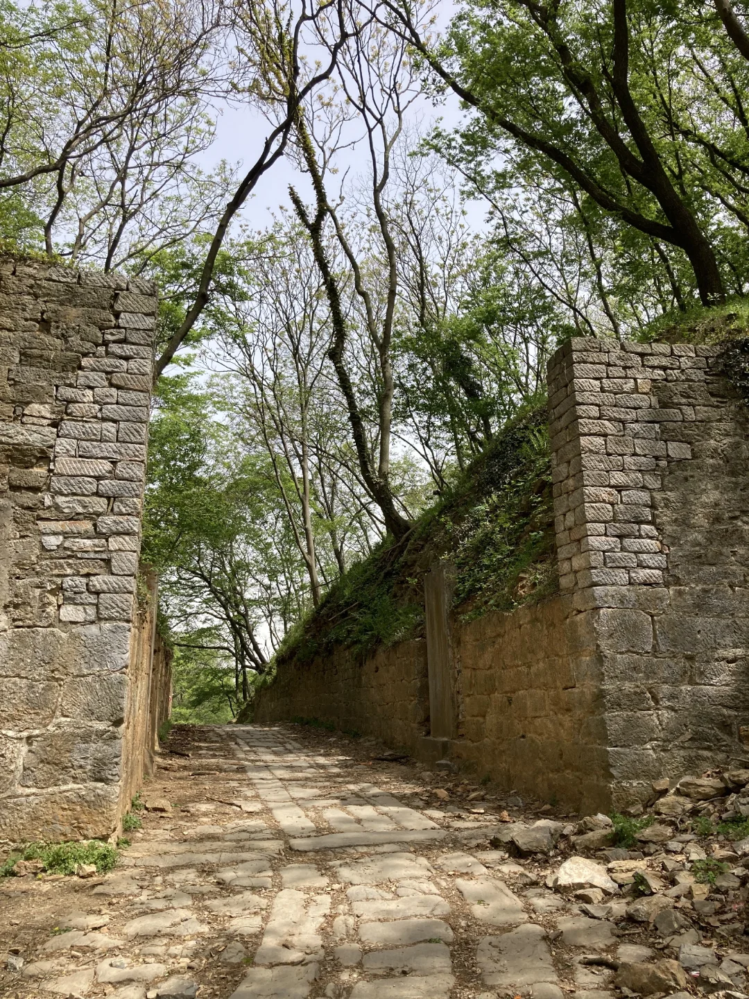 安徽滁州|清流关