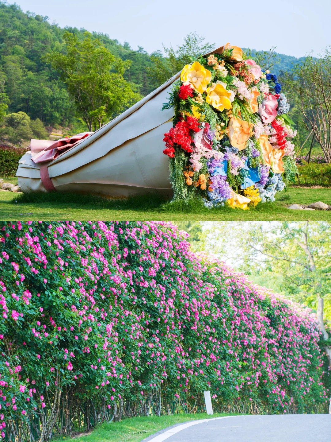 五一反向旅游赢麻了❗️玫瑰瀑布➕竹海八段锦