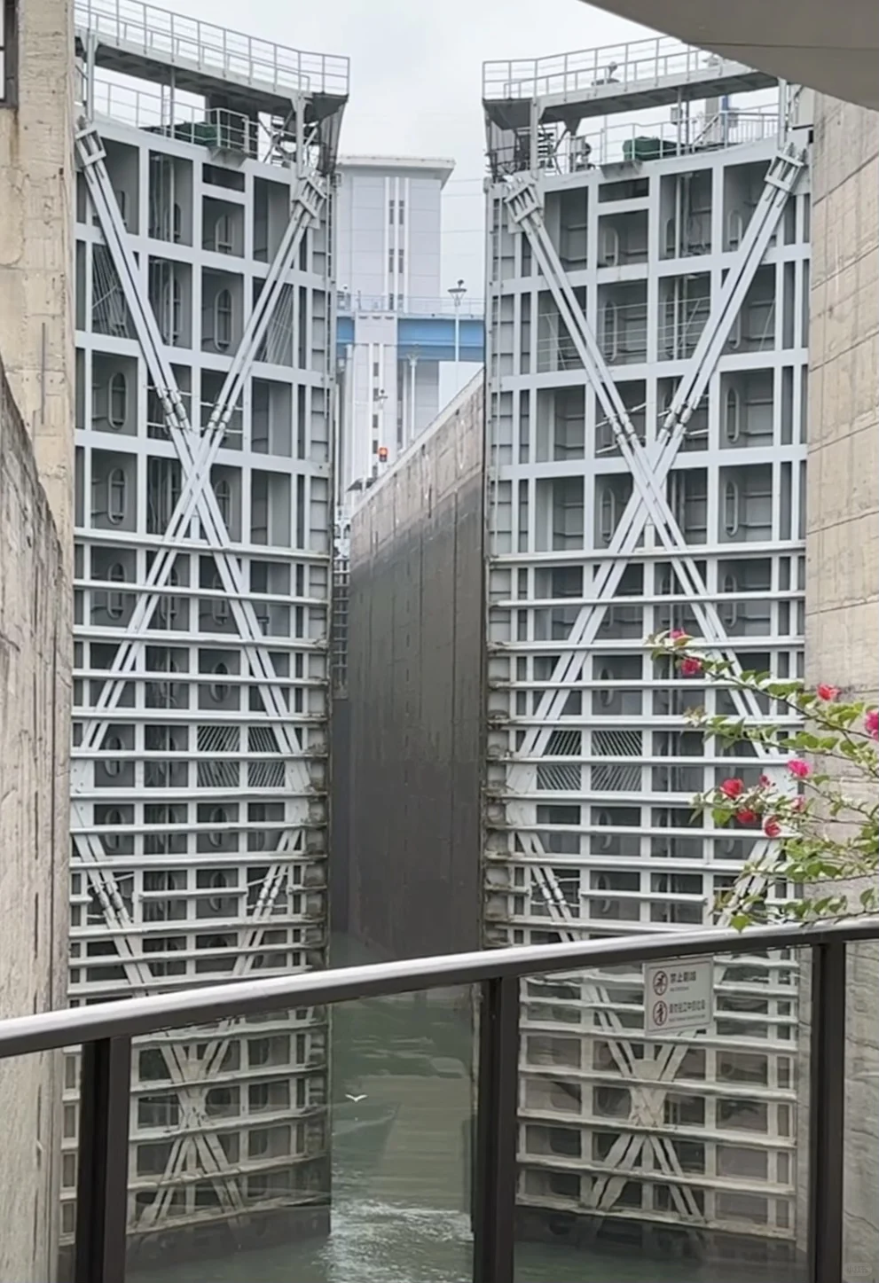 宜昌已回！坚决不删，能劝一个是一个.......