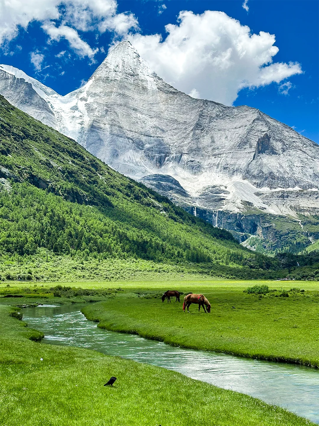 川西的夏天,是宫崎骏的童话世界🎨