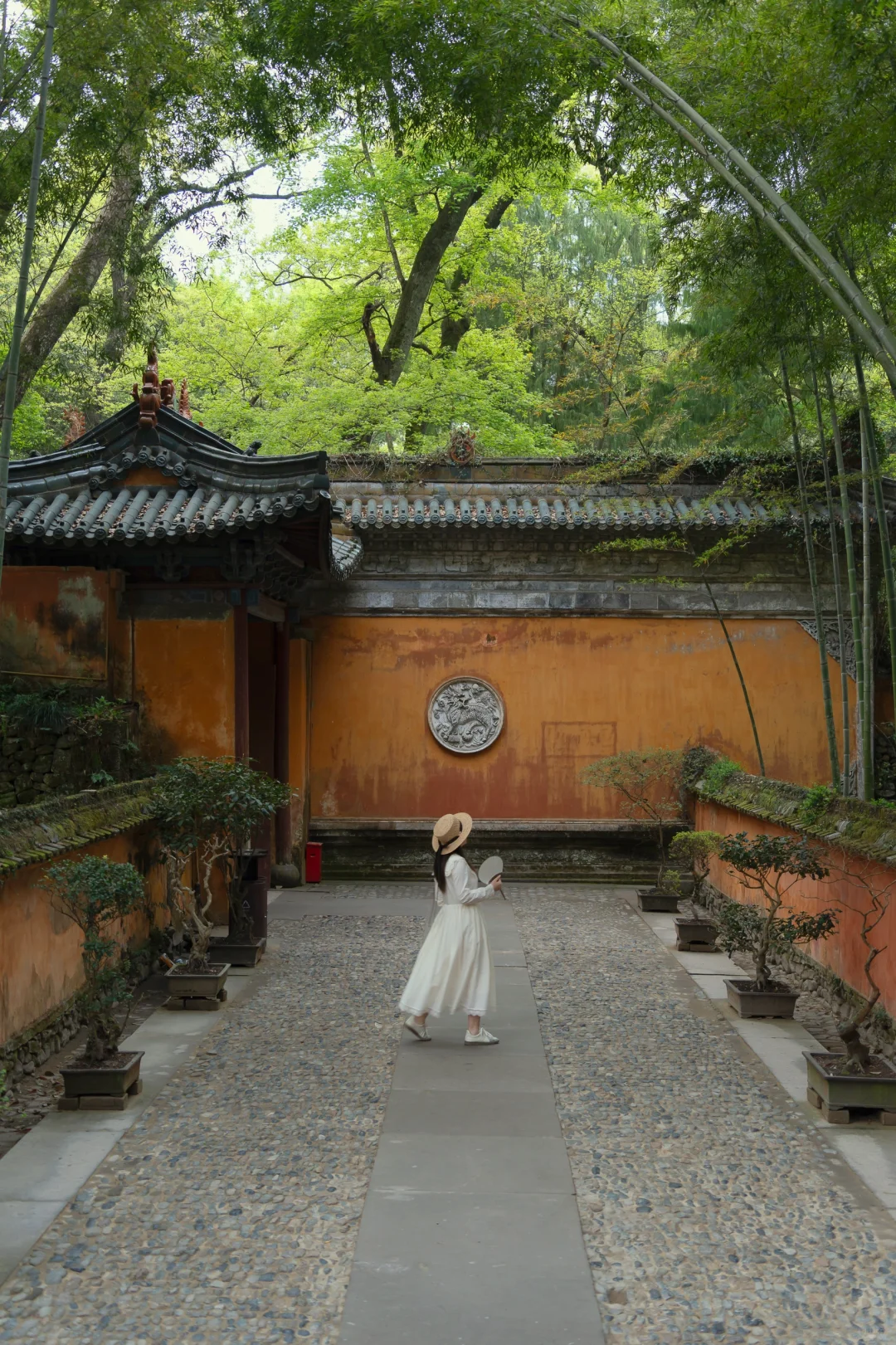 真没瞎吹❗去完台州后对日本完全祛魅了❗