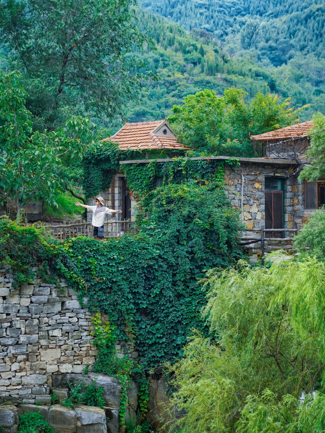 藏于山东深山的世外桃源🍃大自然空调真香