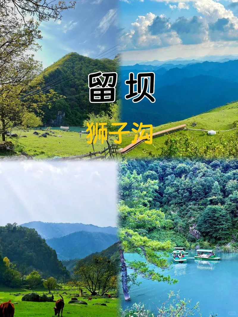 半年一次的汉中周边旅行✈️