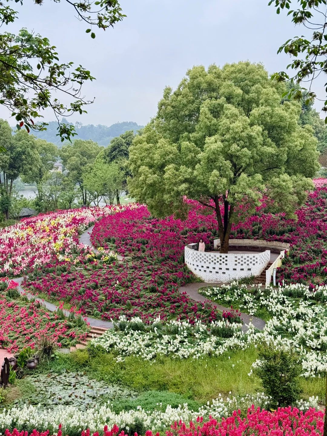 五一假期山城好去处🌷请留1️⃣天给这里‼️