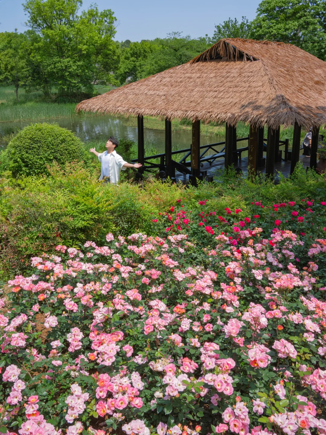 五一反向旅游，西湖这些小众秘境人少景美