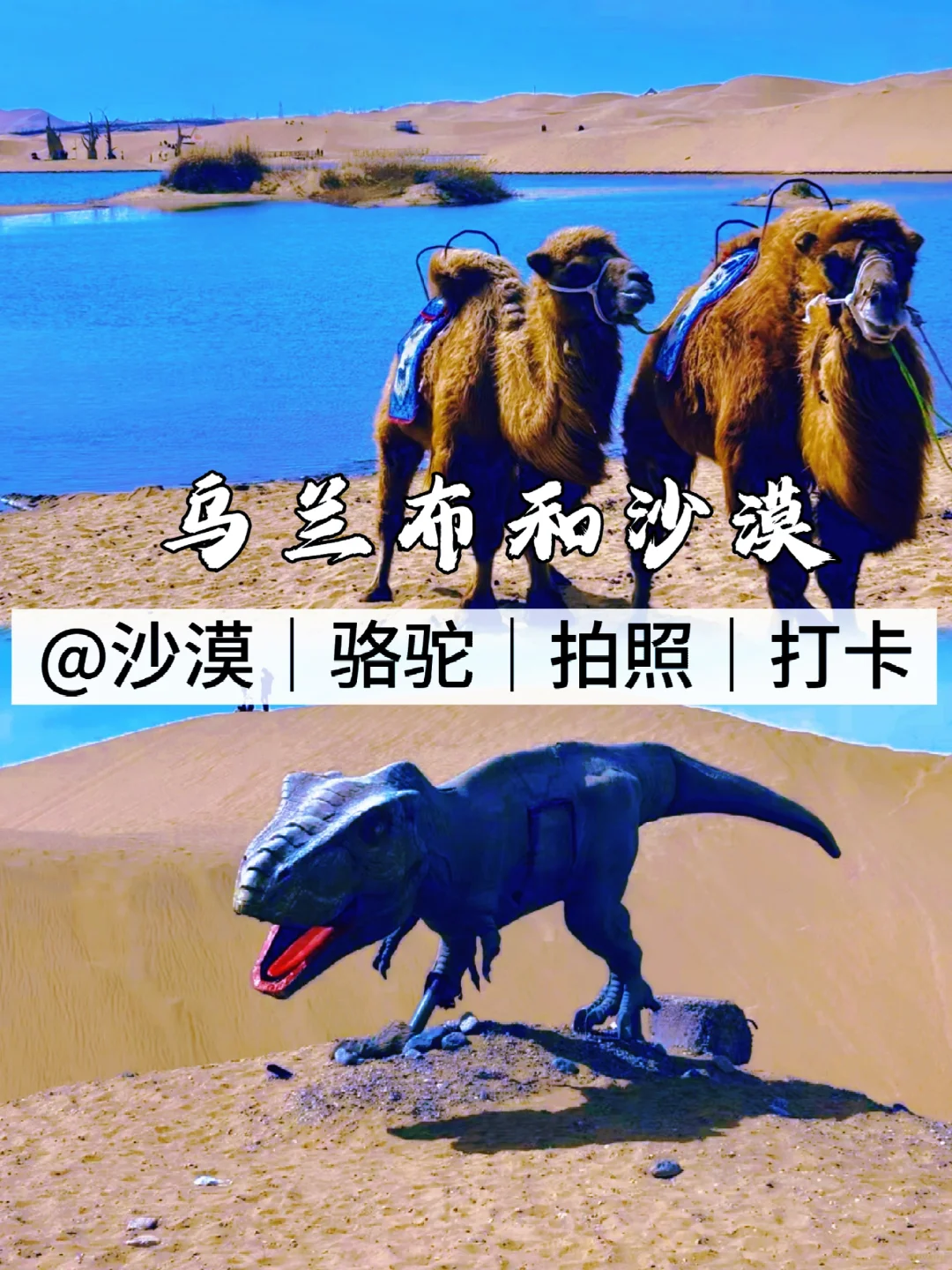 📍乌海｜04男大五一反向穷游宝藏小城🔥