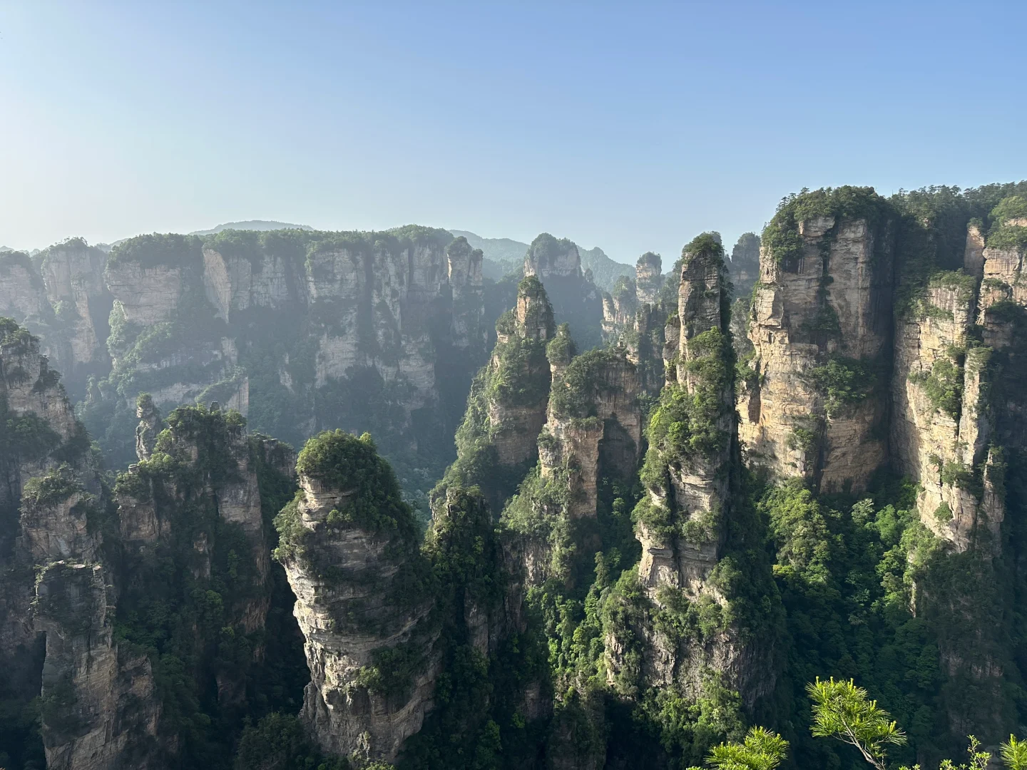 五一张家界东门游玩路线和客流