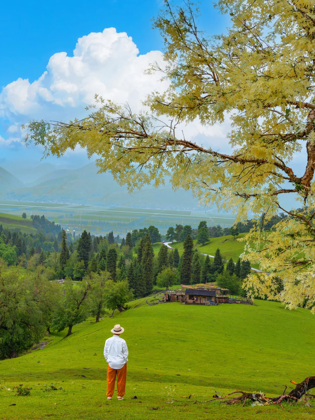 春天的新疆伊犁，每一帧都是童话世界❗️❗️❗️
