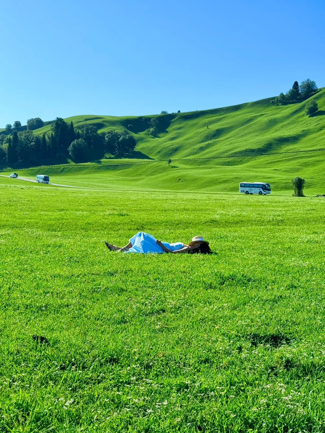 在新疆拍到了我的人生live图～🌳🌳