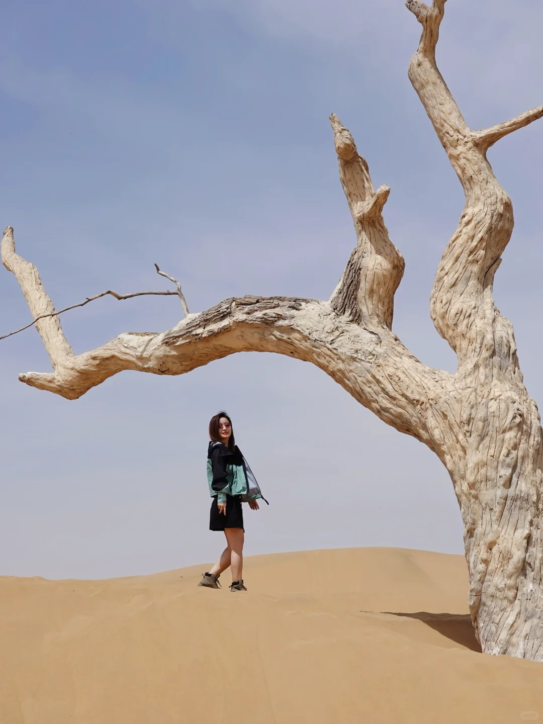 乌海2日游｜快乐就是到沙漠里看海