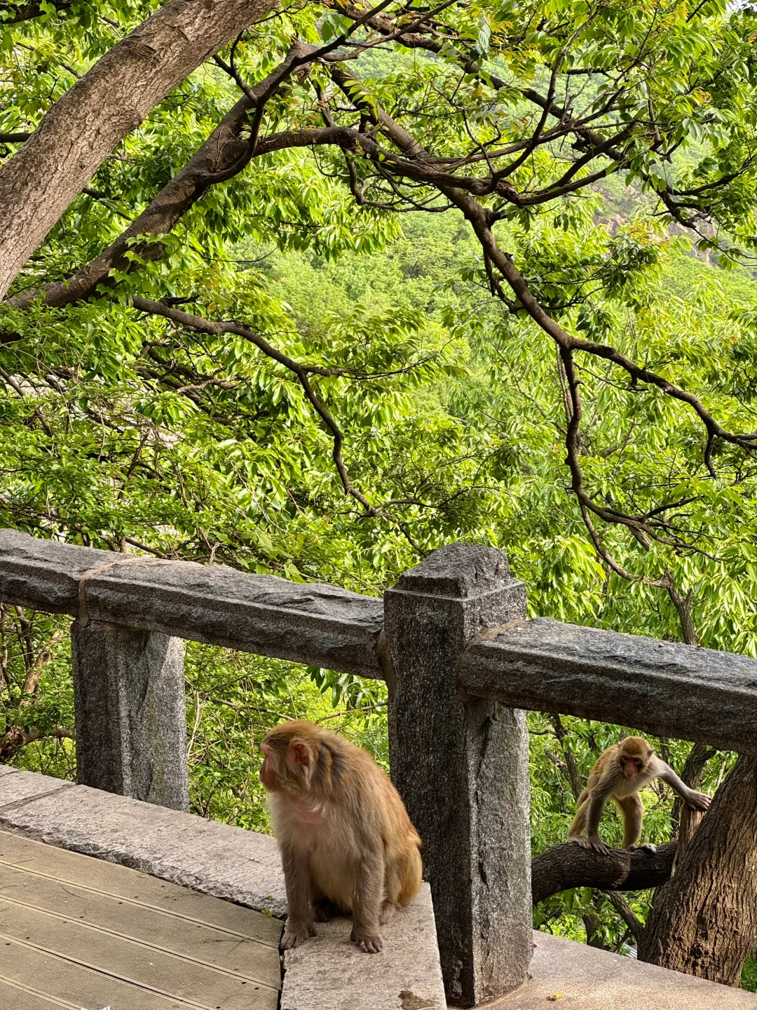 迄今为止,我蕞喜欢的宝藏旅行地出现了…live