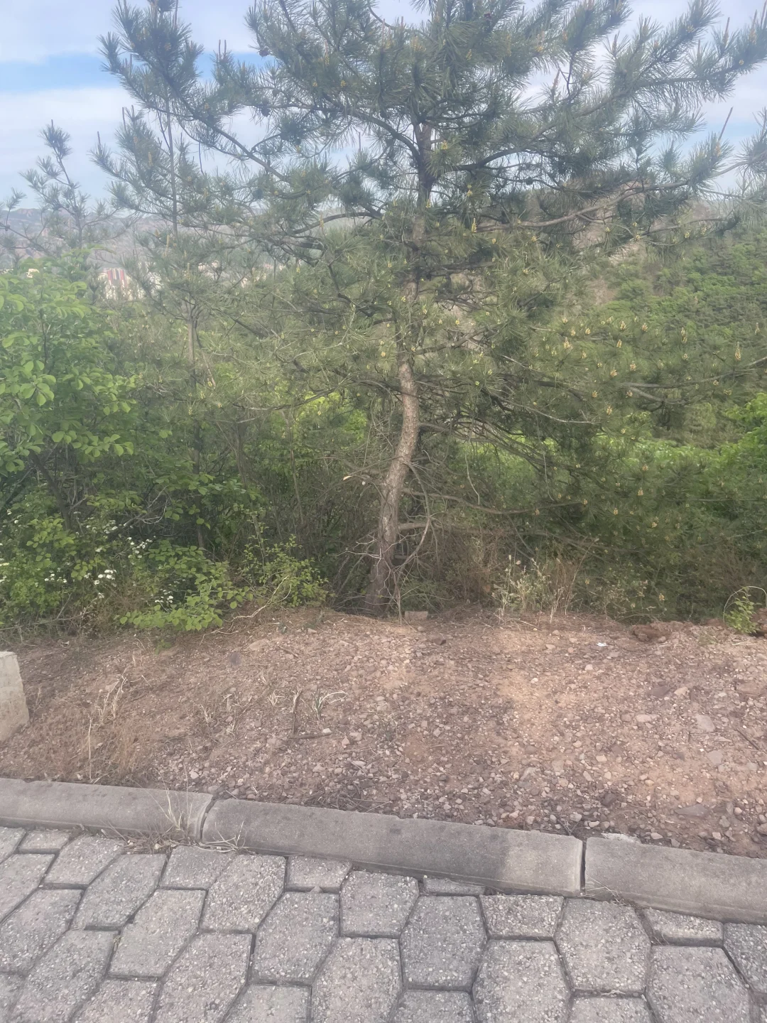 承德景区 避雷！！！