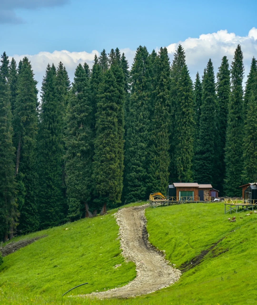 春天的新疆伊犁，每一帧都是童话世界❗️❗️❗️