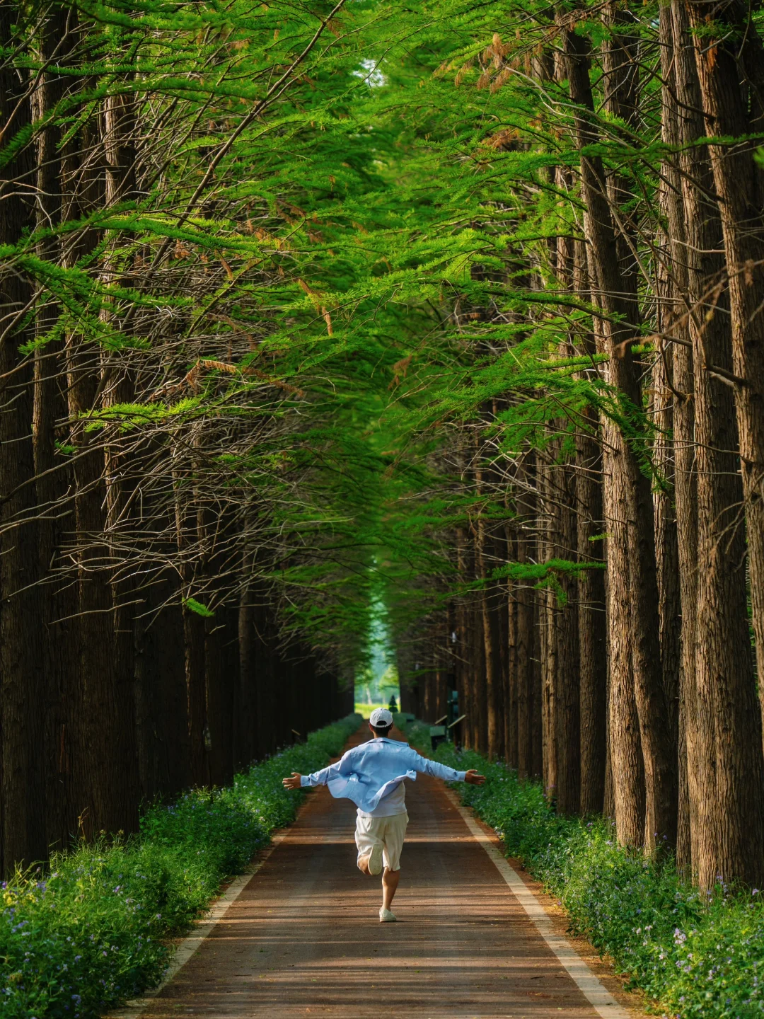 反向旅游‼️这才是淮安被严重低估的绿野仙踪