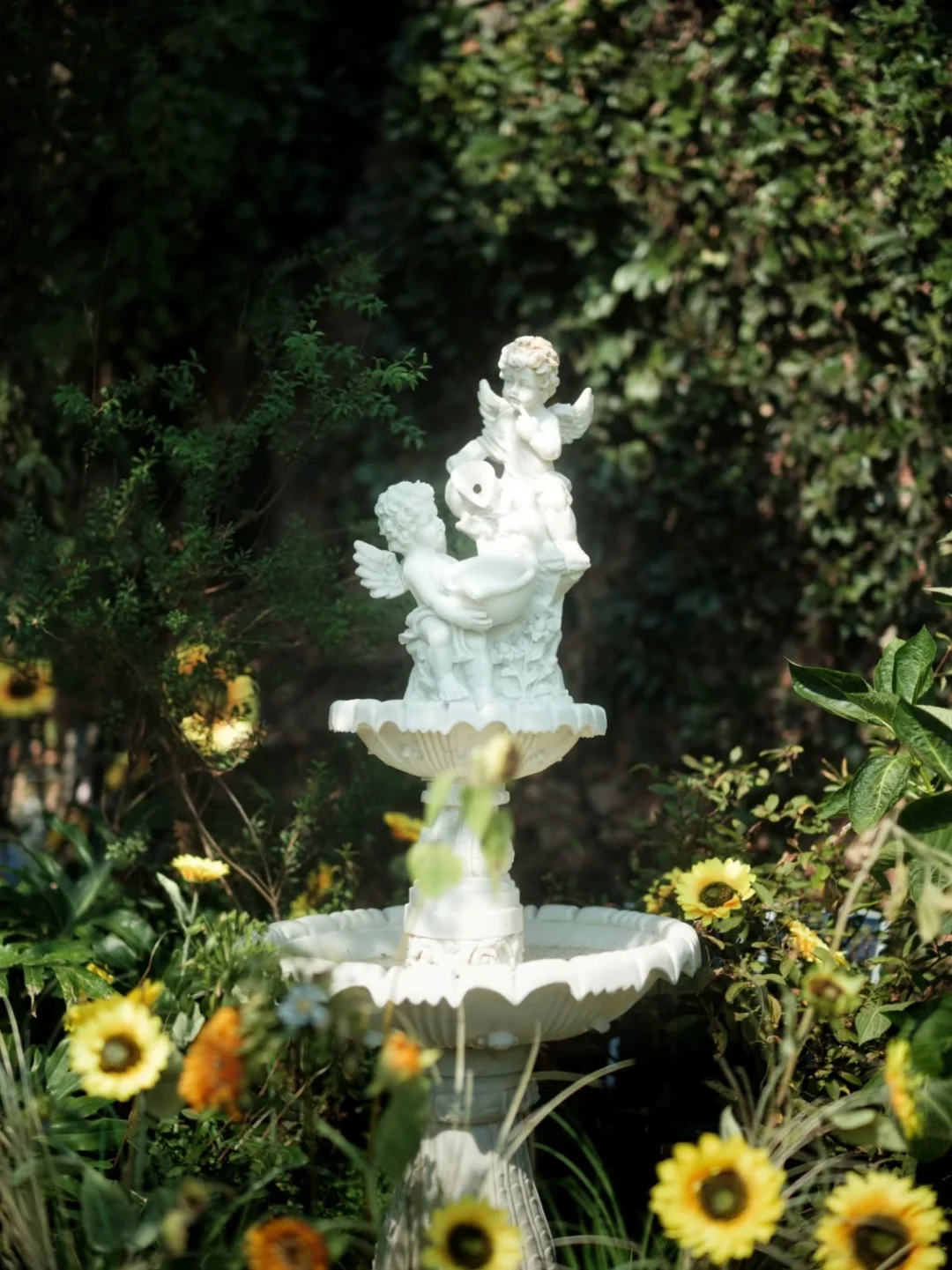 04女大📍独闯昆明 | 三天不走回头路攻略