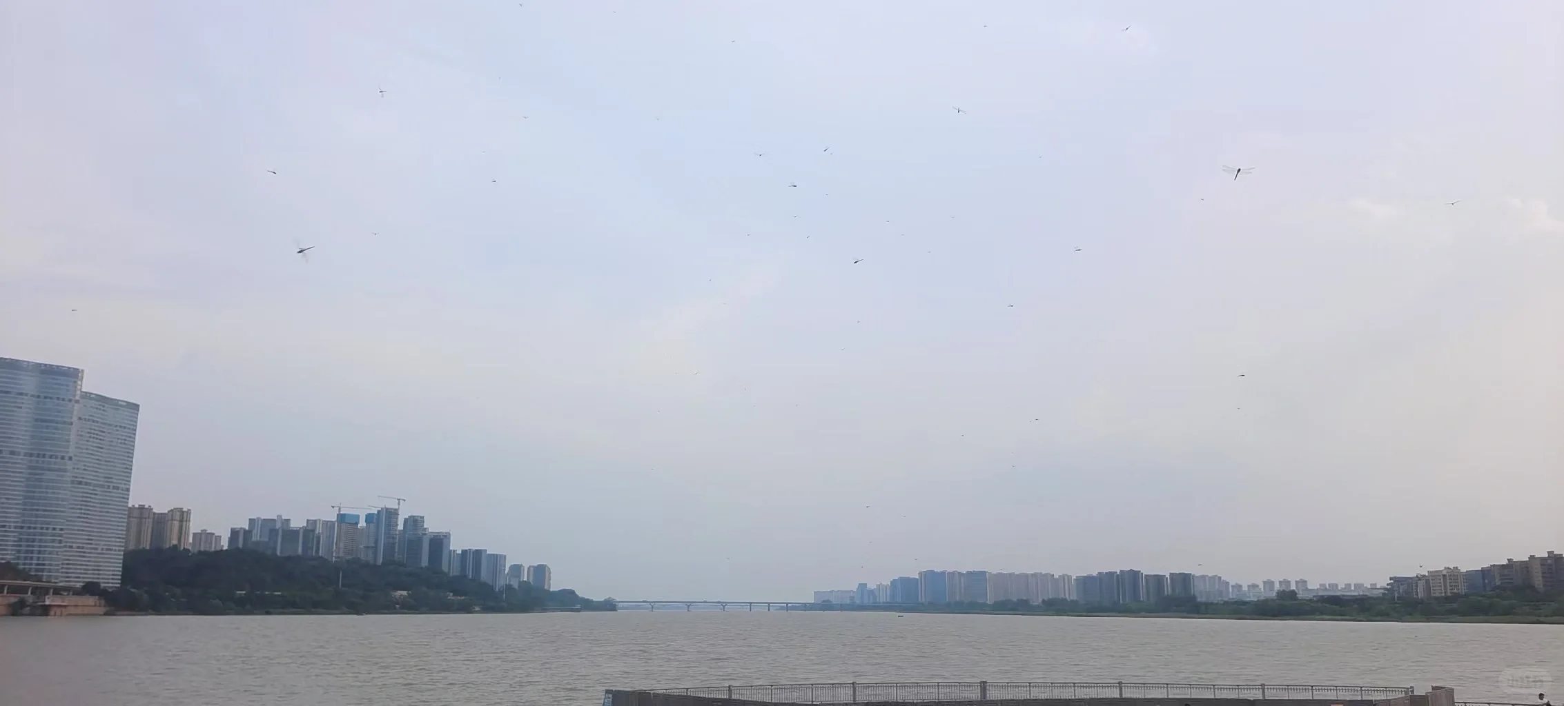 橘子洲 | 湘江明珠，红色诗魂