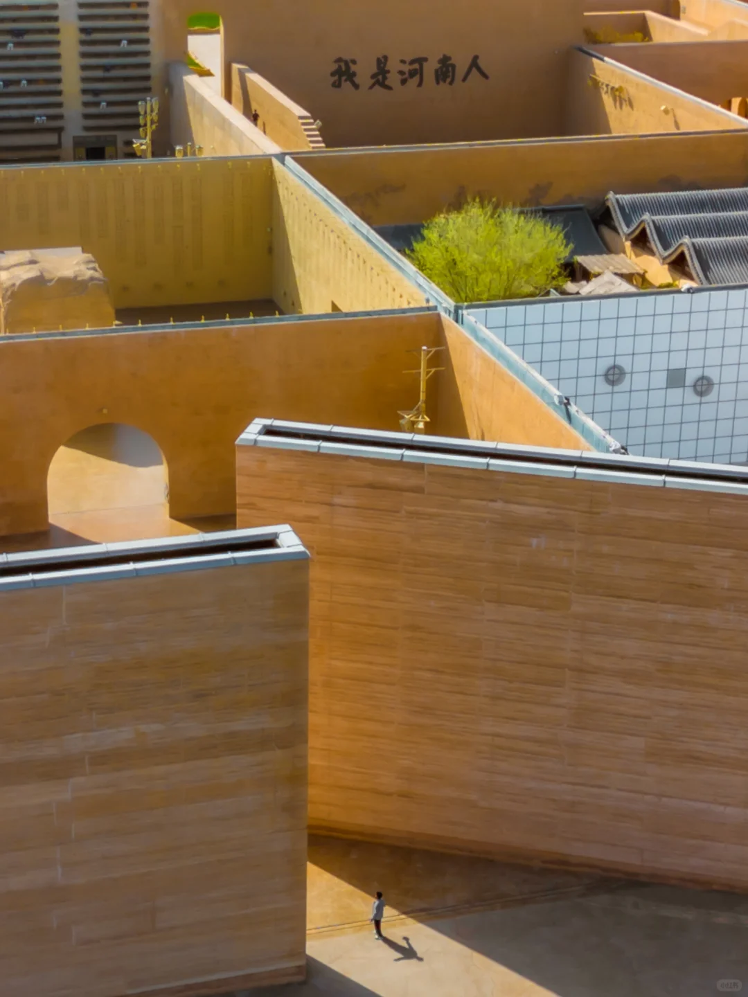 刚从只有河南回来，来听听我的真实感受…