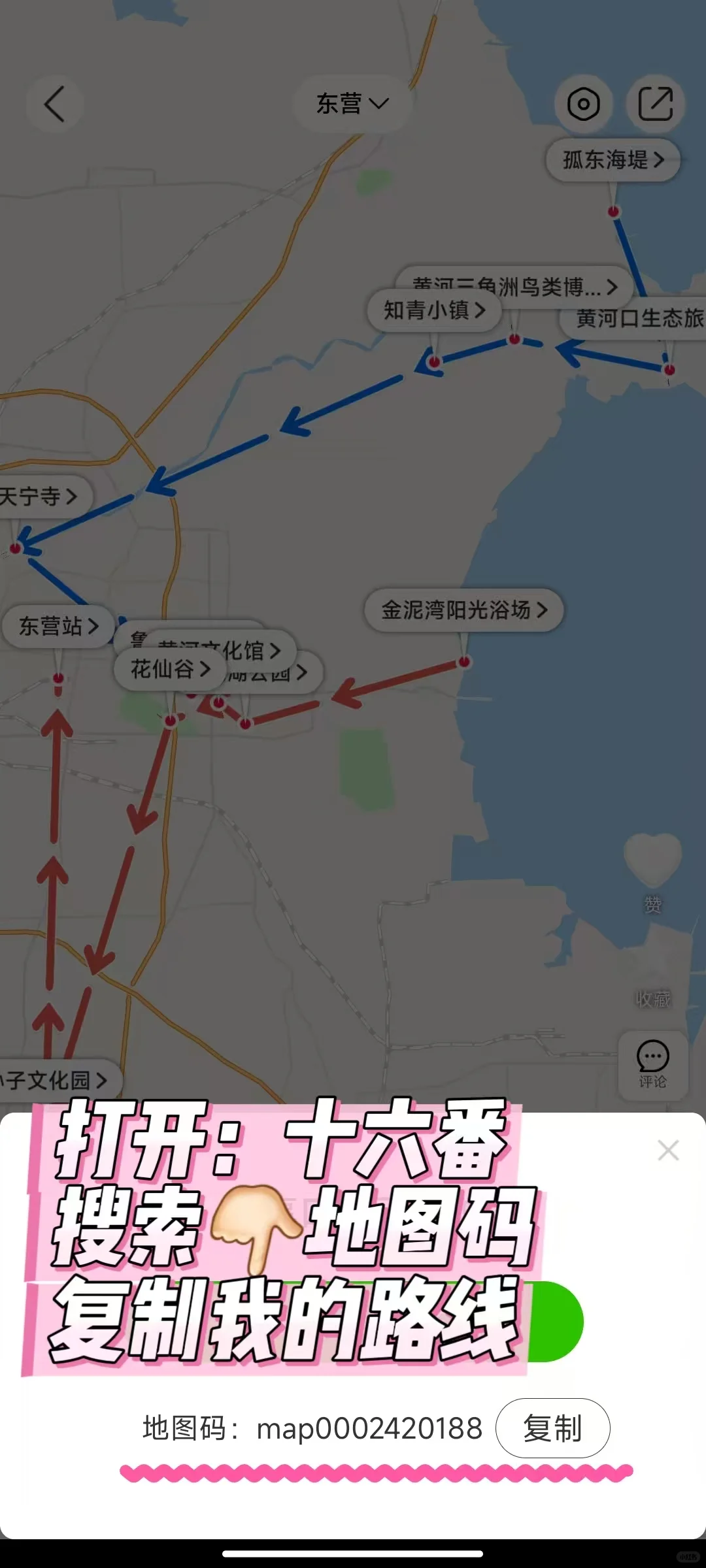 往返东营十几次，最喜欢的旅游路线💯•