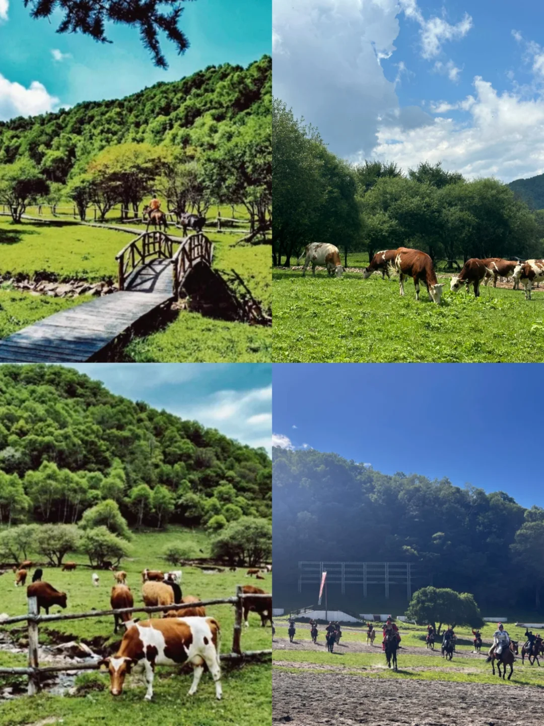 🌟五一反向出行攻略｜人少避暑的6个宝藏地🌟