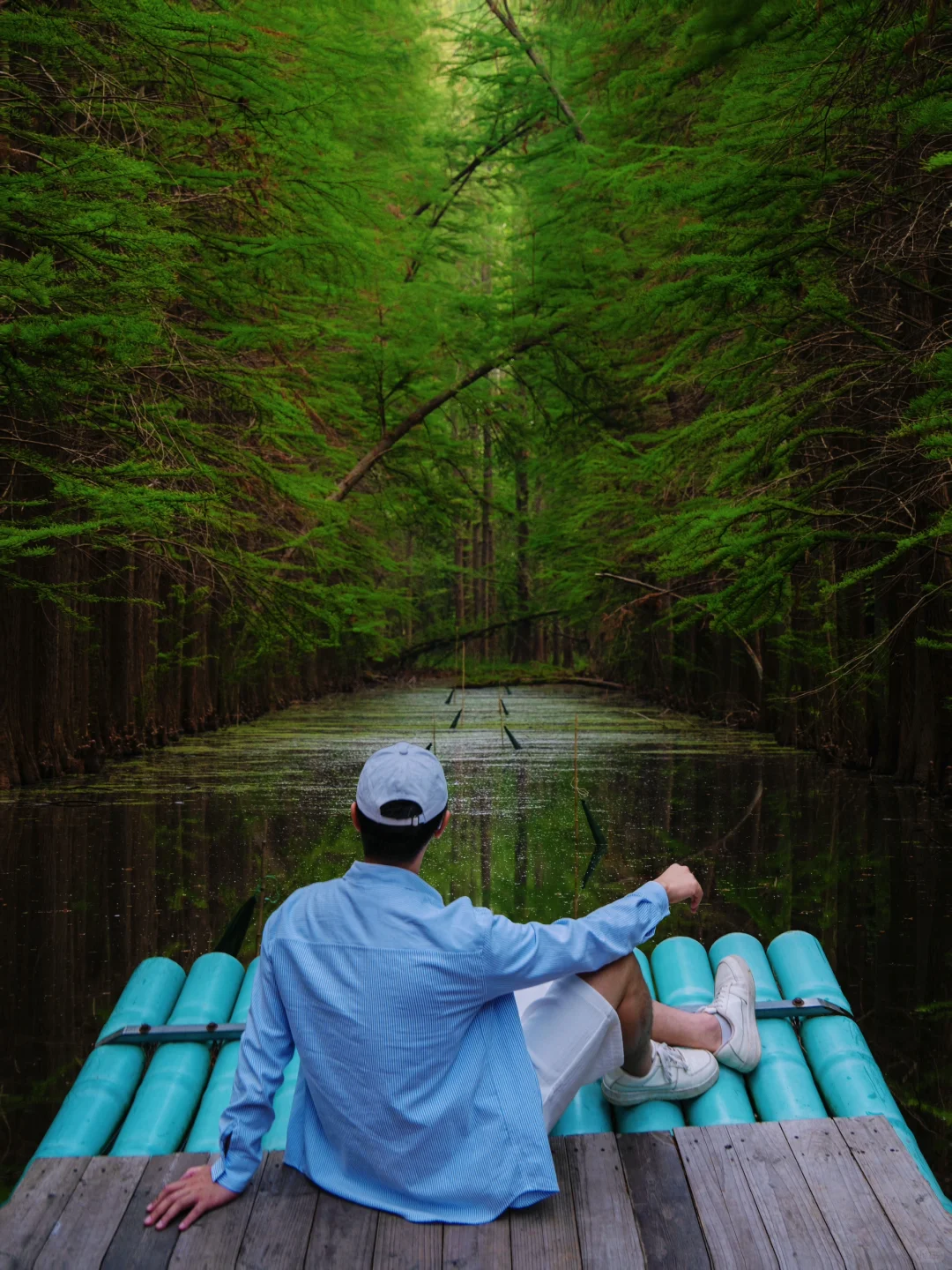 反向旅游‼️这才是淮安被严重低估的绿野仙踪