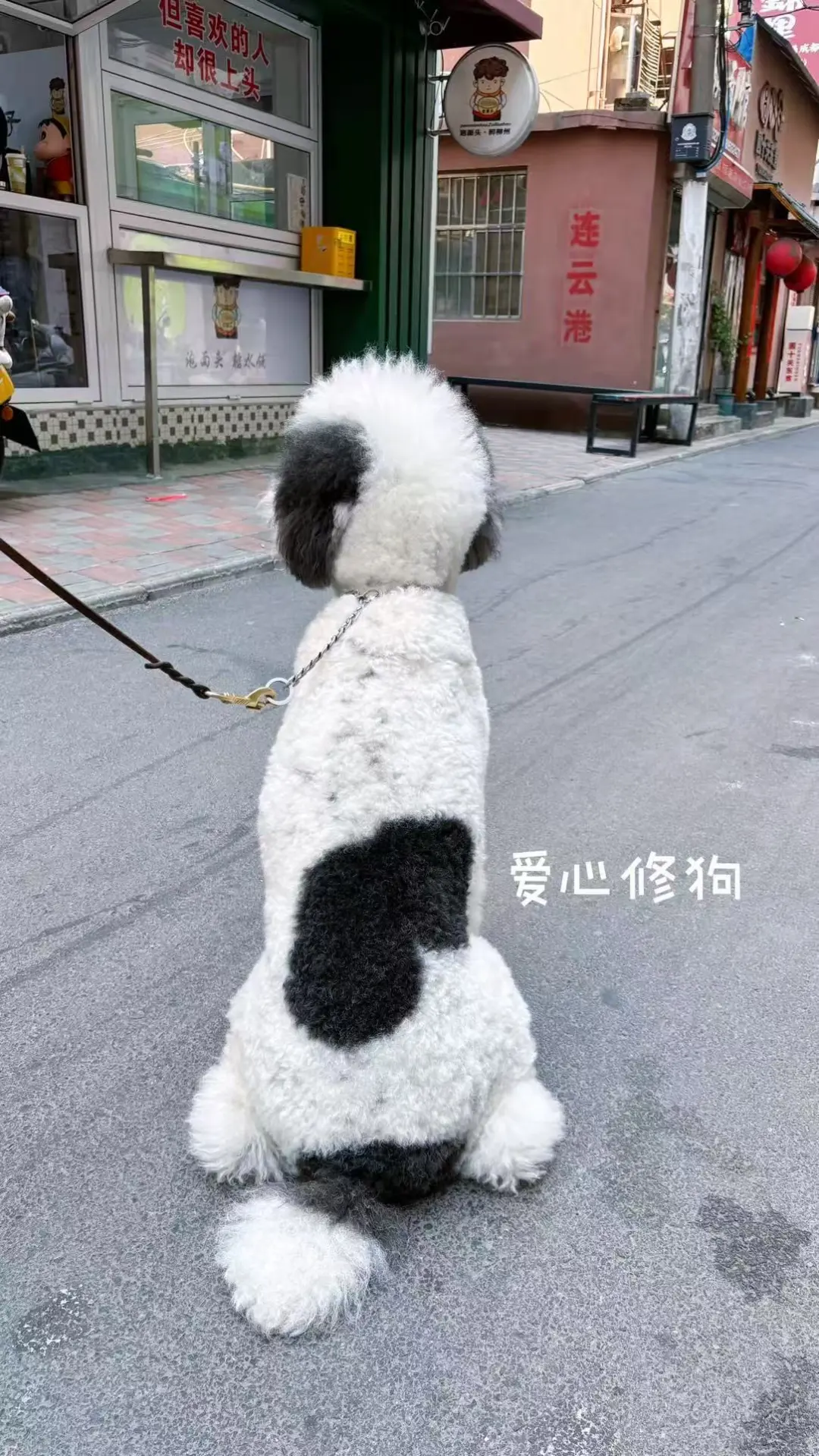 红泰迪和大海好配哦～🌅