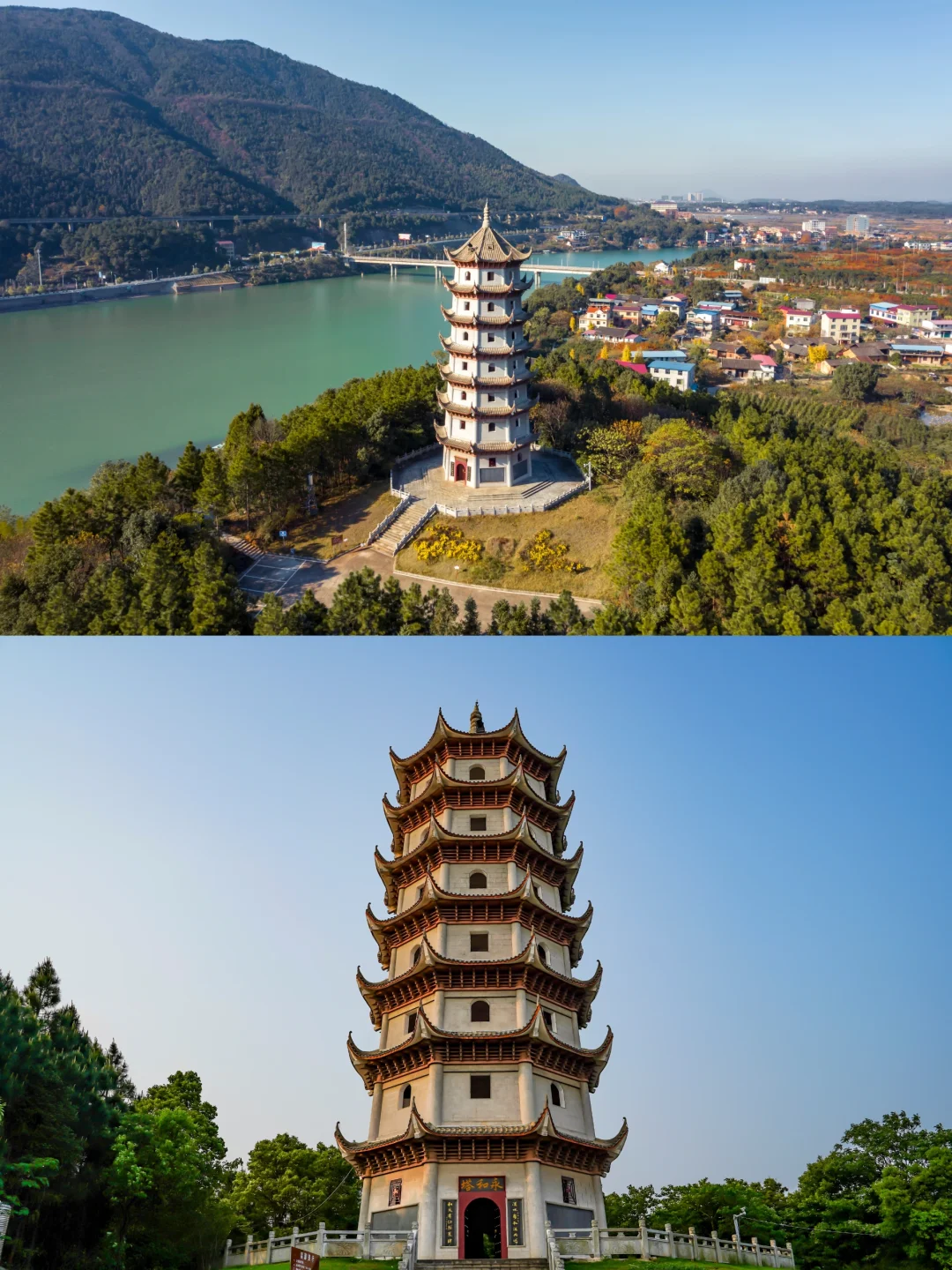 五一反向游！闯入10万亩杜鹃花海秘境