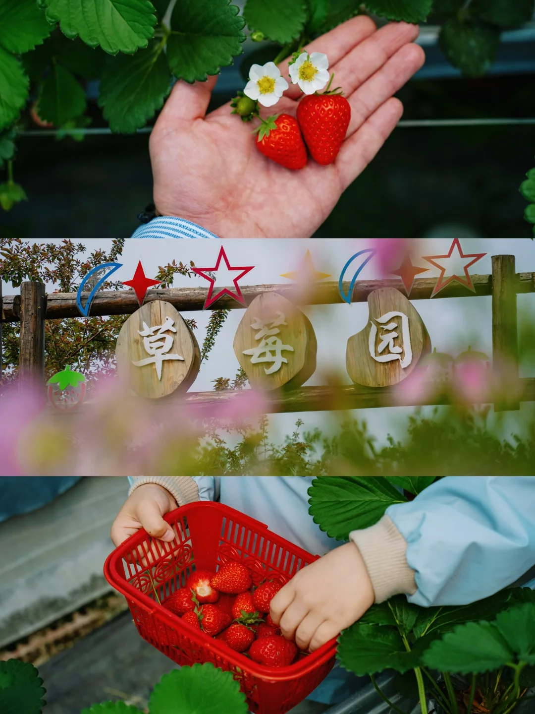 反向旅游‼️这才是淮安被严重低估的绿野仙踪