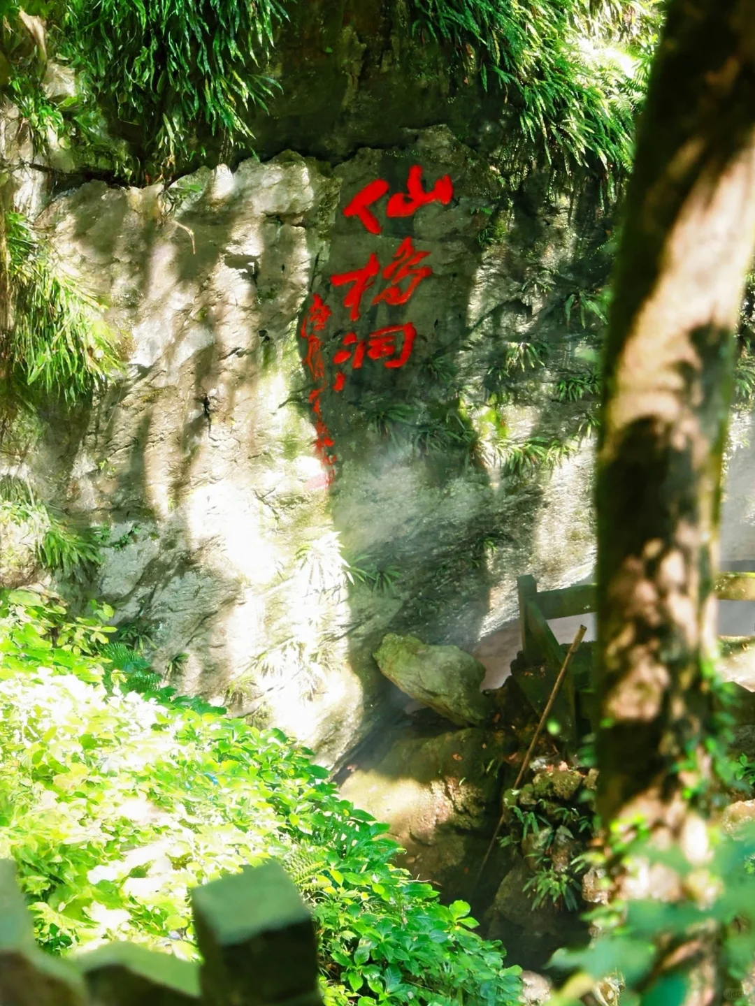 灵山杭城版去有风的地方🍃