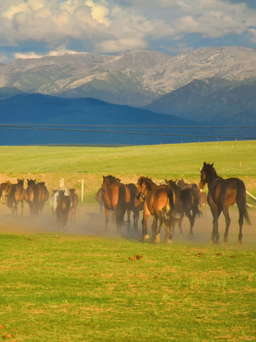 接下来几个月的新疆，每一张都是童话世界！！！
