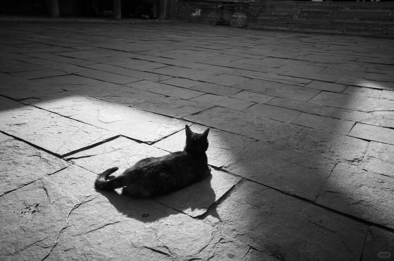 每个人心中的塔尔寺｜青海旅行第一站