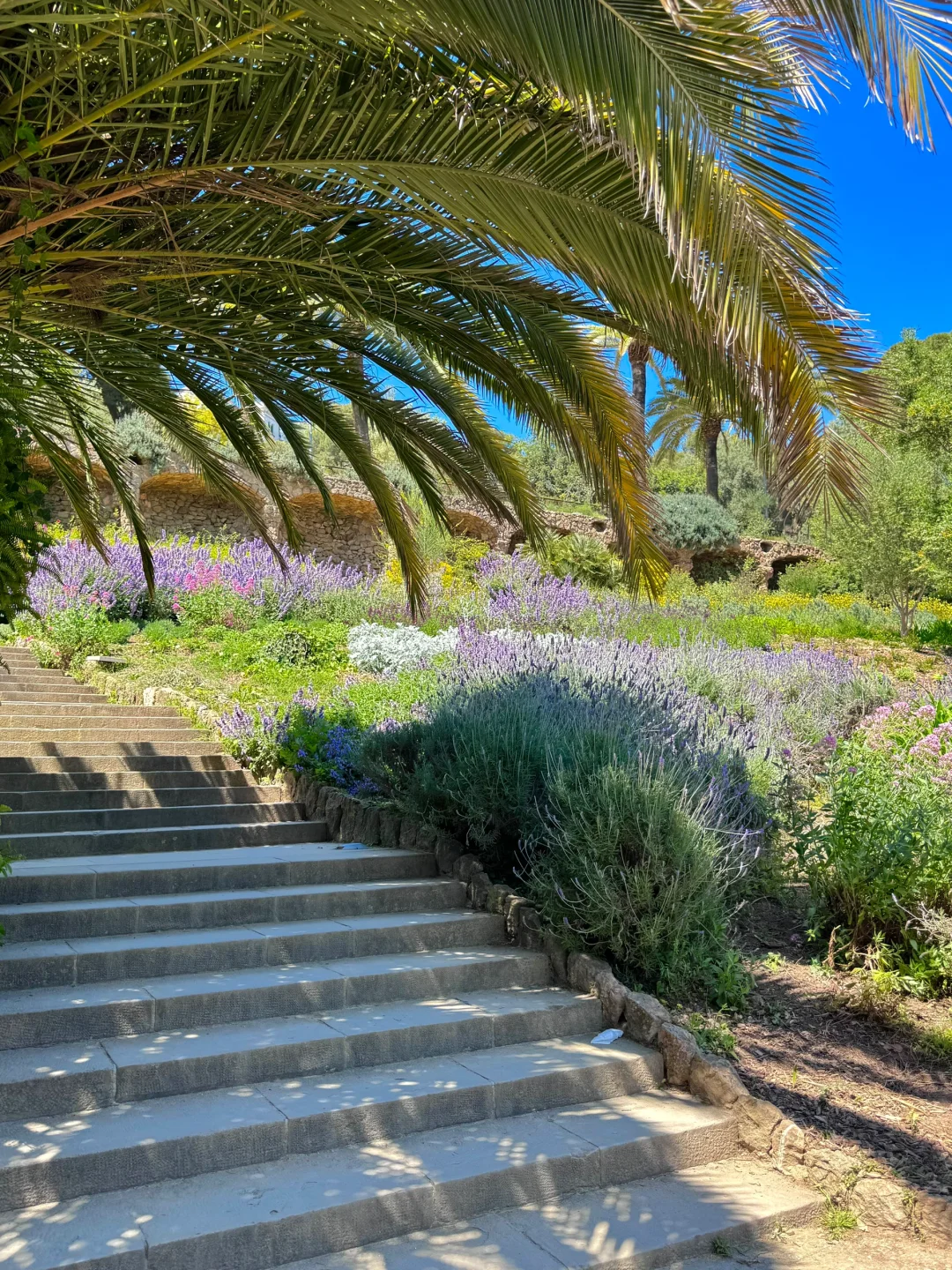 巴塞罗那 桂尔公园 🌹❤️‍🩹🇪🇸