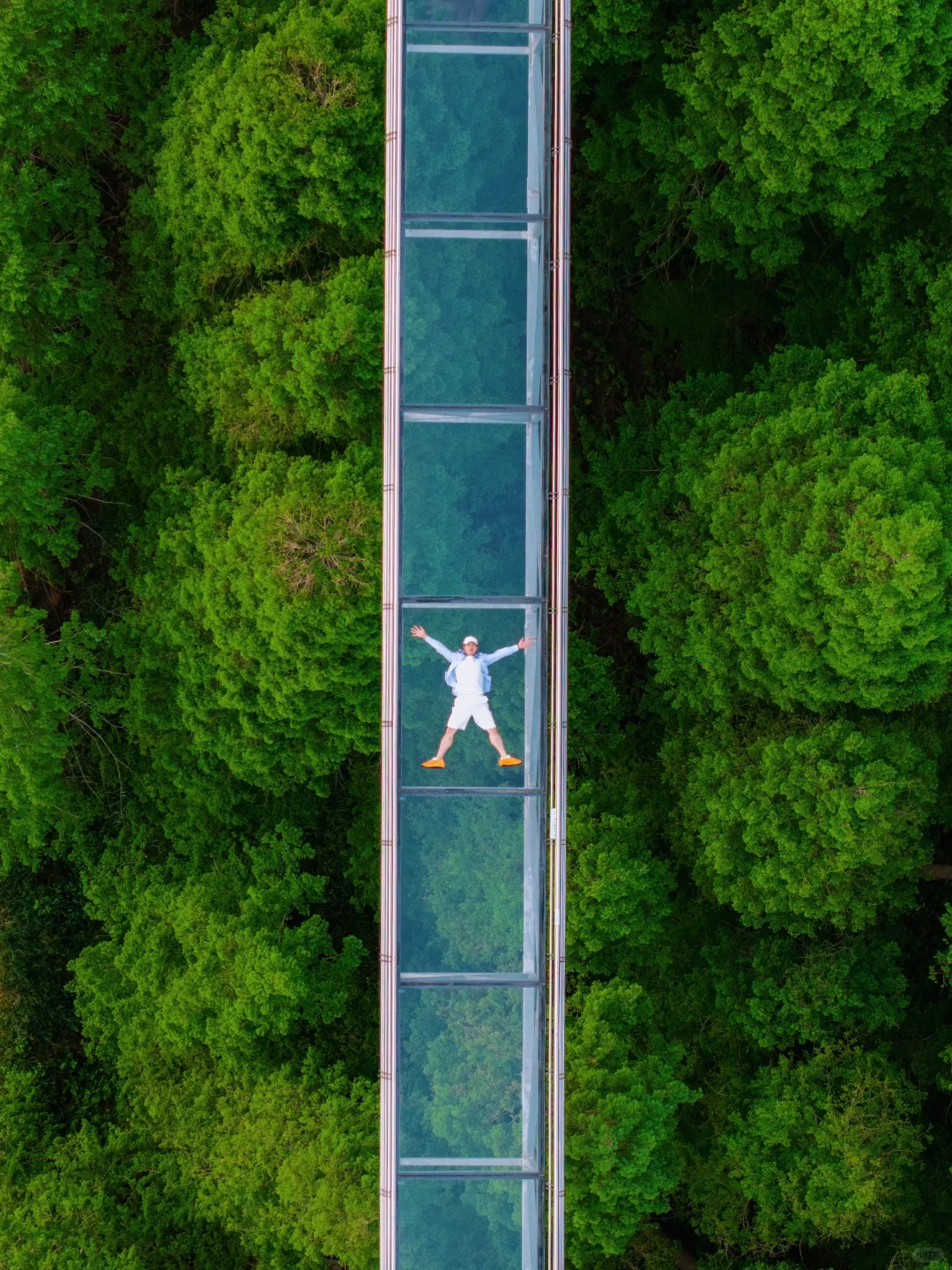 反向旅游‼️这才是淮安被严重低估的绿野仙踪