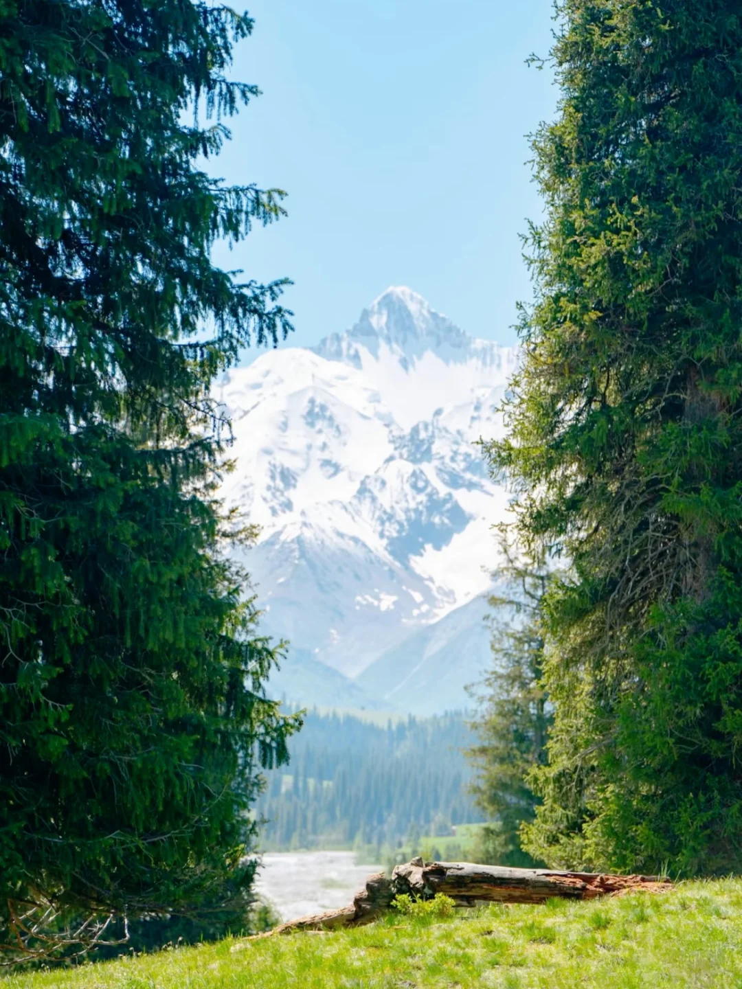预计今夏新疆会爆火🔥的地方——夏塔🏔