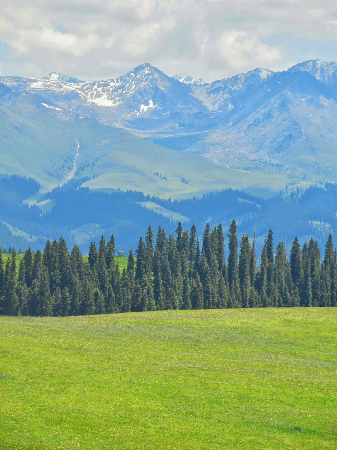 接下来几个月的新疆，每一张都是童话世界！！！