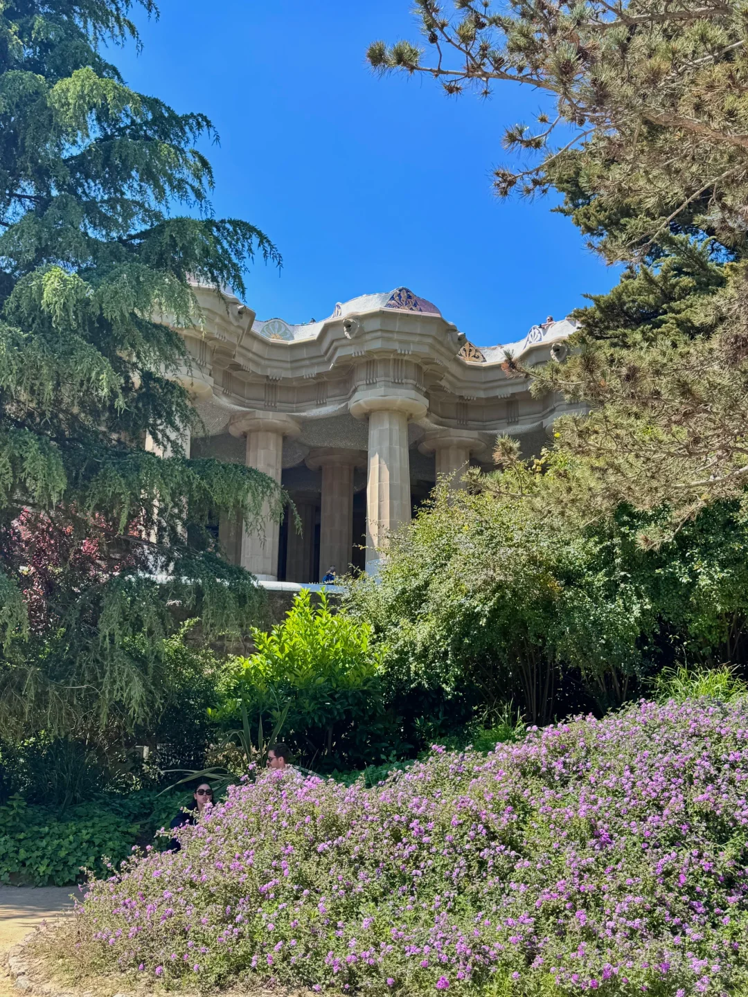 巴塞罗那 桂尔公园 🌹❤️‍🩹🇪🇸