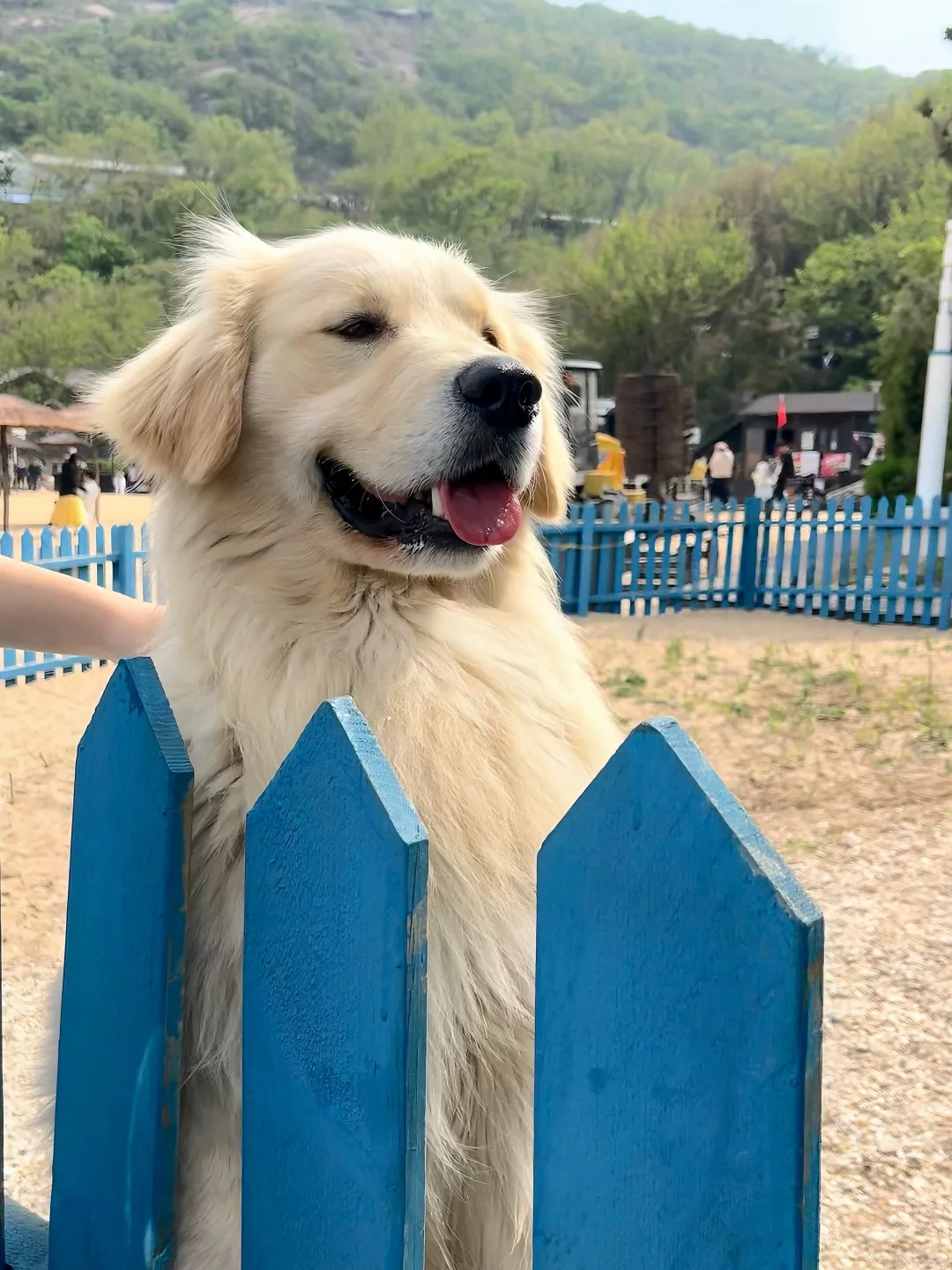 红泰迪和大海好配哦～🌅