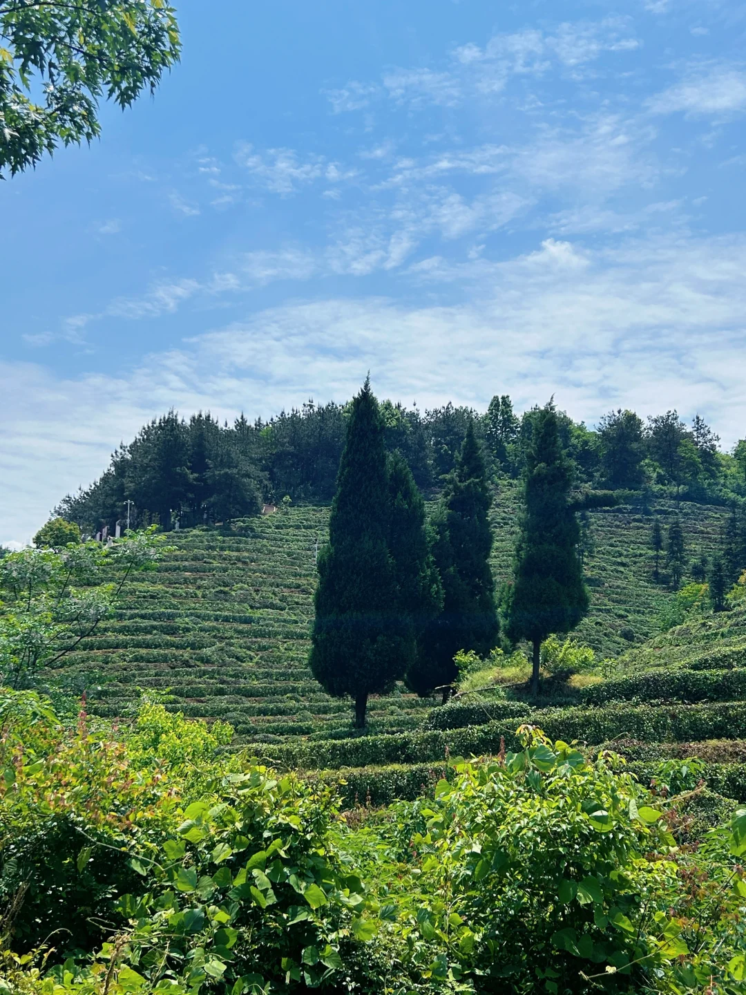 五一反向游｜河南省内小众旅行地🍃狠狠吸氧