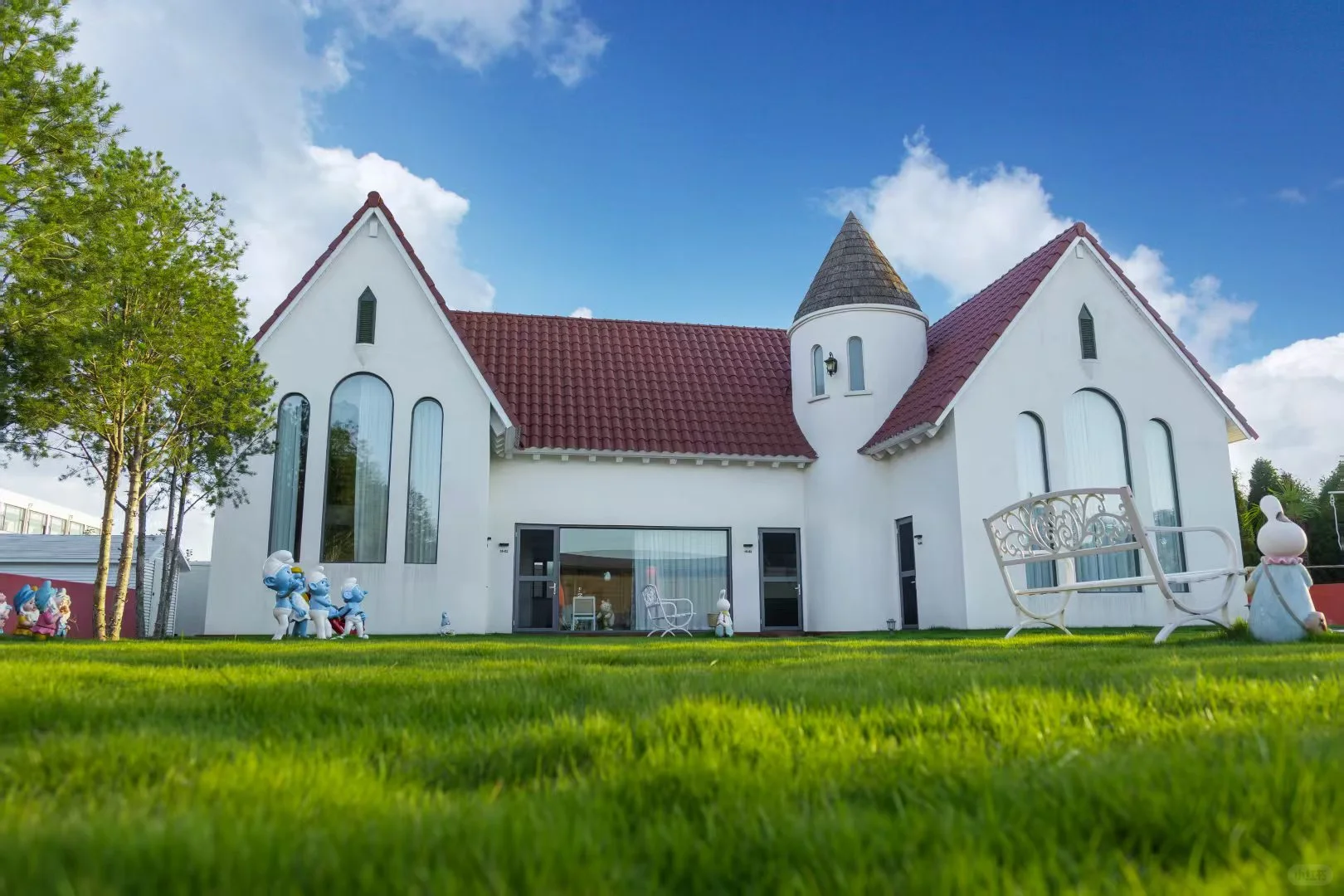 这里不是荷兰！是临沂！！！！