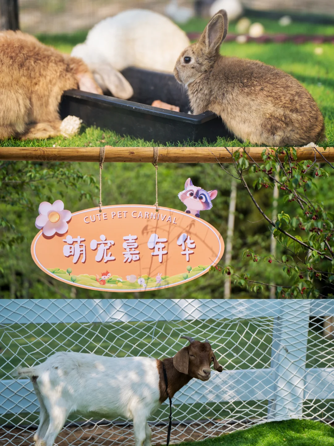 五一反向旅游赢麻了❗️玫瑰瀑布➕竹海八段锦