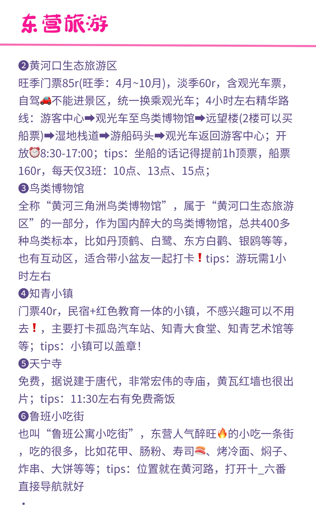 往返东营十几次，最喜欢的旅游路线💯•