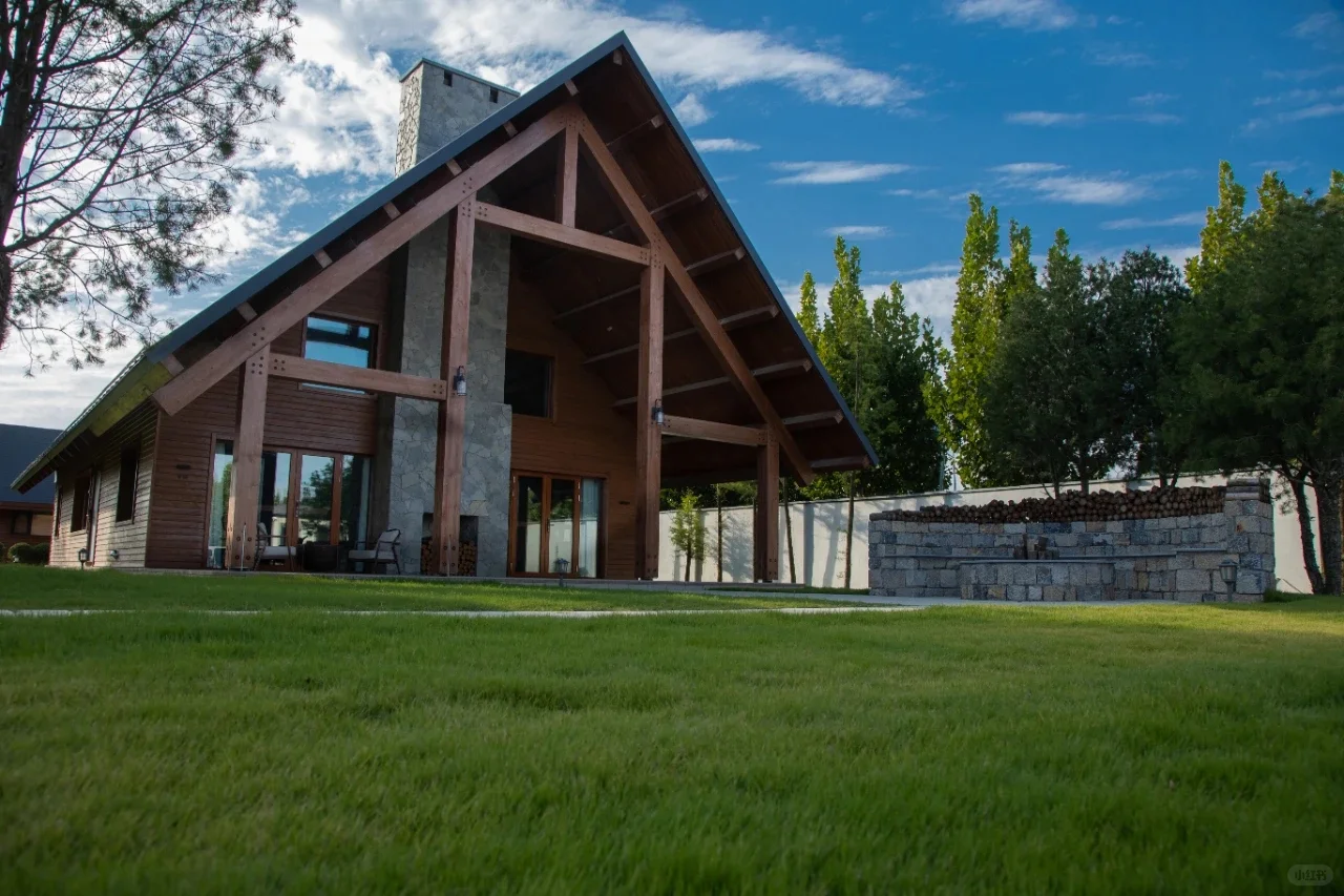 这里不是荷兰！是临沂！！！！