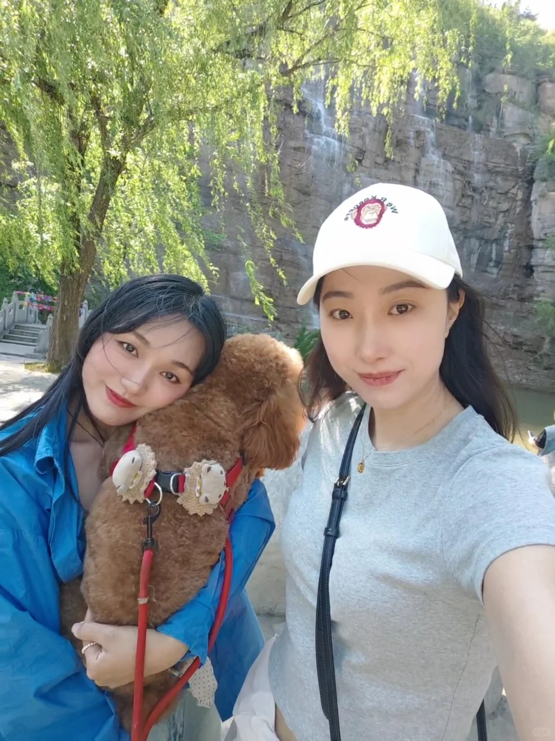 宠物友好——来淄博一定要来潭溪山