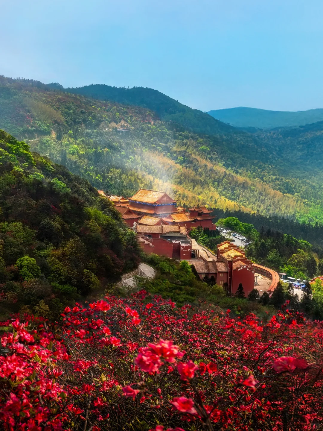 五一反向游！闯入10万亩杜鹃花海秘境