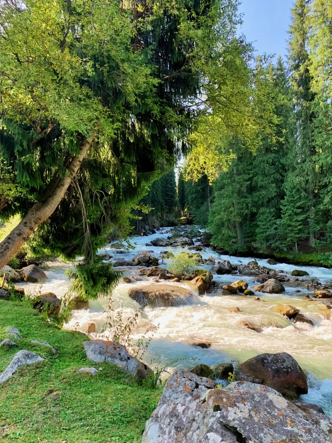 四月新疆 | 赴一场春日限定的梦幻之约🌸
