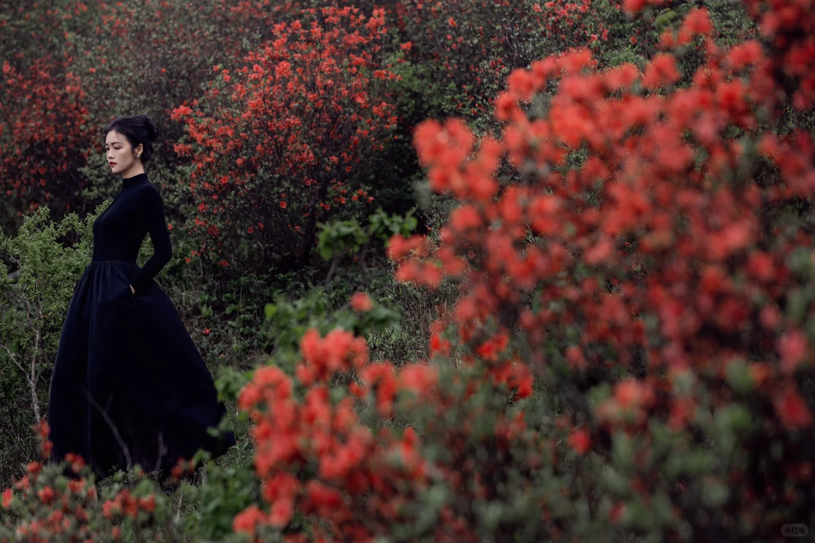 五一反向旅游,松弛感拉满的映山红秘境